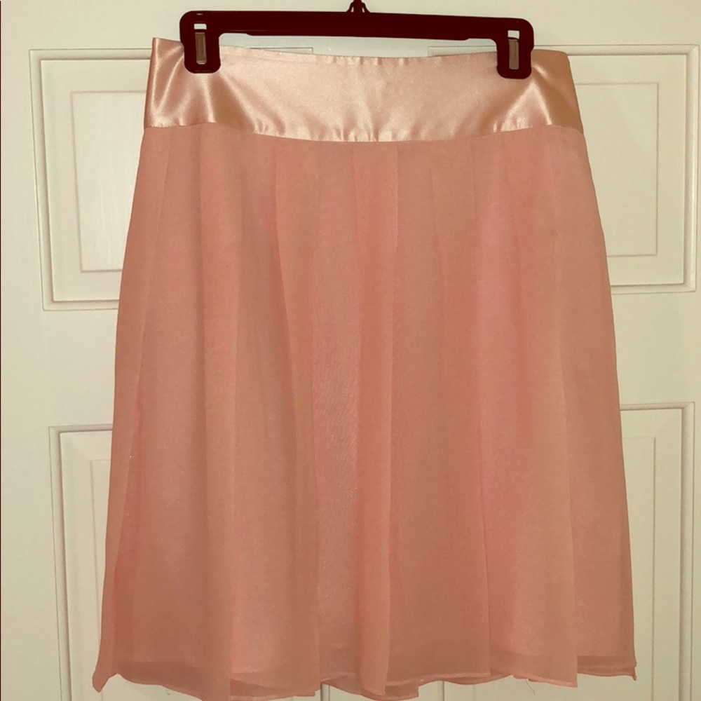 Banana Republic Skirt